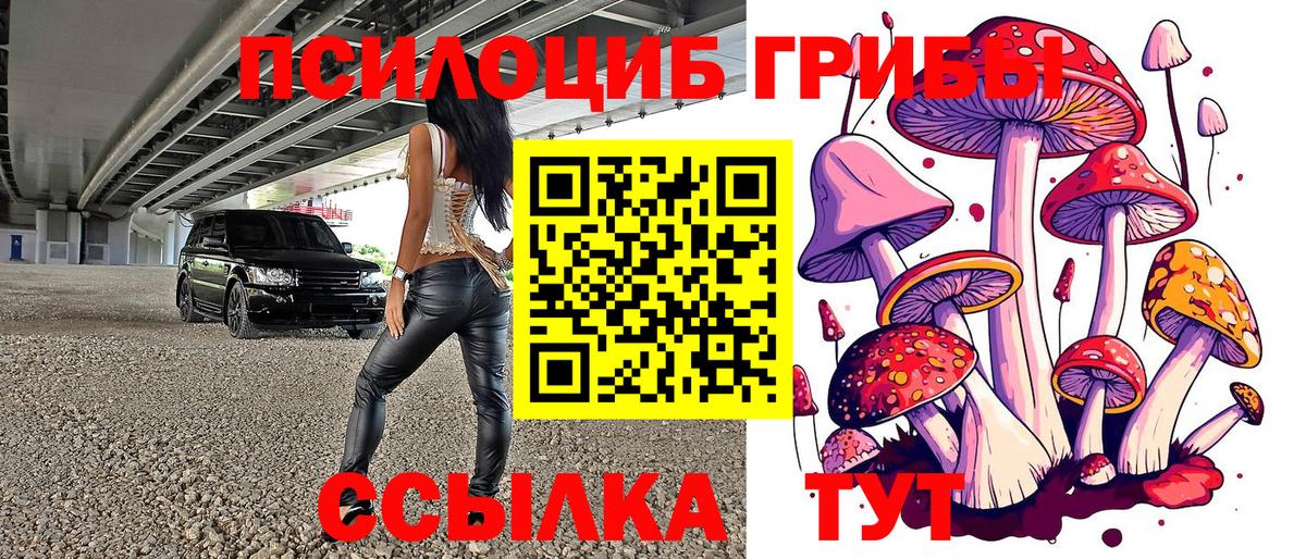 Галлюциногенные грибы GOLDEN TEACHER  Псилоцибиновые грибы прущие грибы  где можно купить наркотик  Каменка 