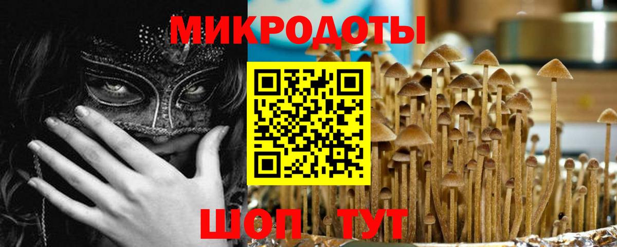Каменка  Псилоцибиновые грибы мицелий  сколько стоит  Вход с VPN 