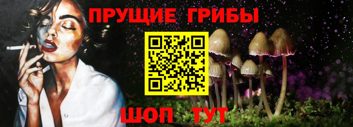 Галлюциногенные грибы прущие грибы Каменка